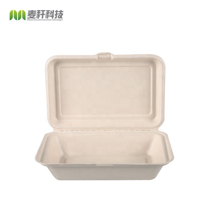 China 9*6 bagasse food container take away food box on sale