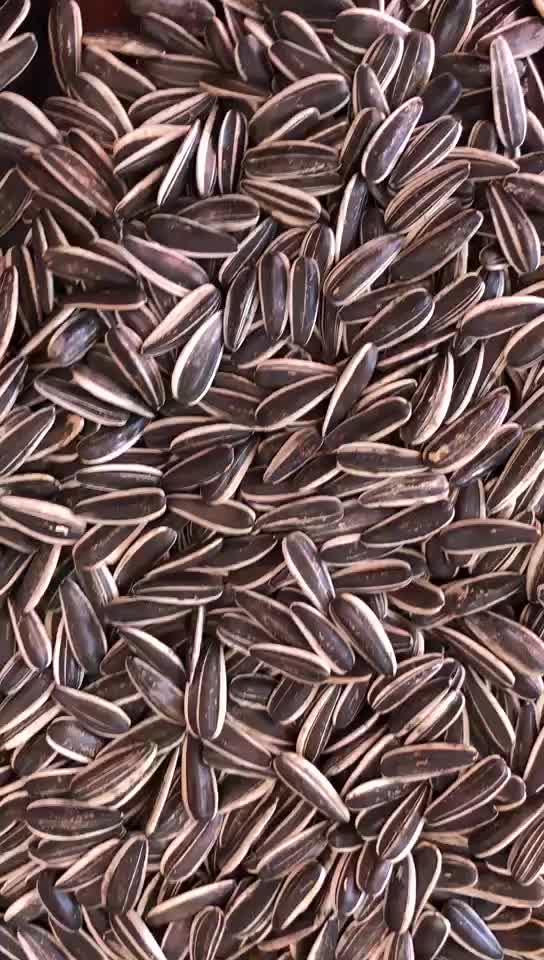 Quality chinese sunflower seeds full automatic roasting best selling price nuts and seeds snack in china for sale
