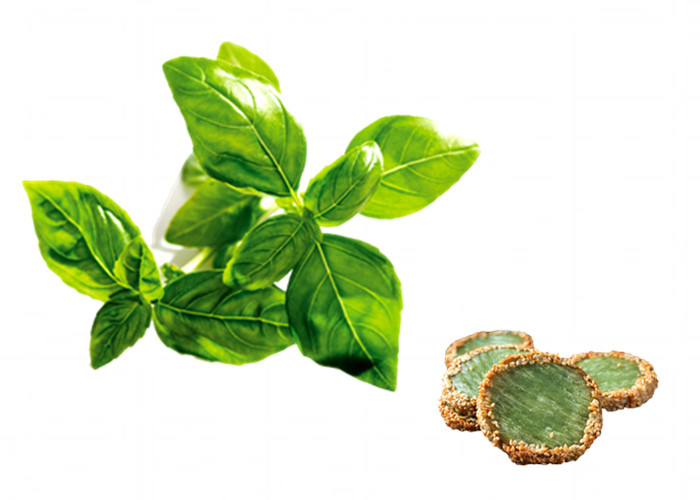 Cheap Low Caffeine Green Tea Extract Powder Antioxidant Lowering Blood Fat Improving Immunit wholesale