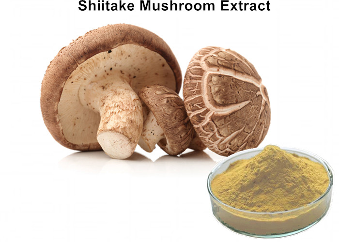 Cheap 30% Lentinan Shiitake Mushroom Polysaccharides Extract Brown Yellow Powder Anti - Virus wholesale