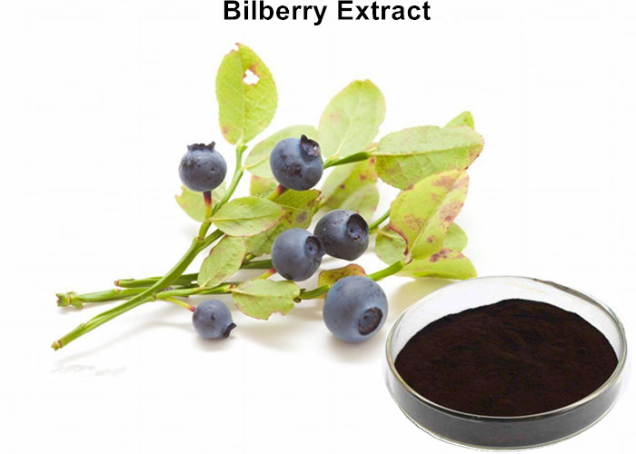 Cheap Pure Dark Bilberry Fruit Extract For Eyes Health, Organic Natural Plant Extracts wholesale