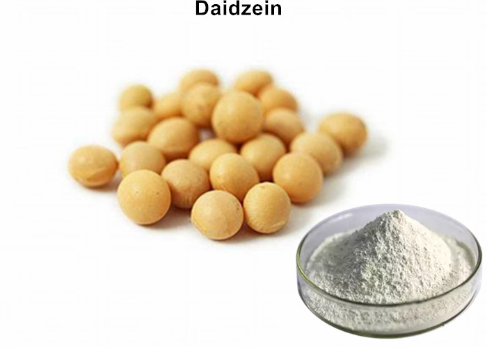 Cheap 98% Daidzein Powder CAS 486 66 8 , Antiarrhythmic Off White Soy Extract Powder wholesale