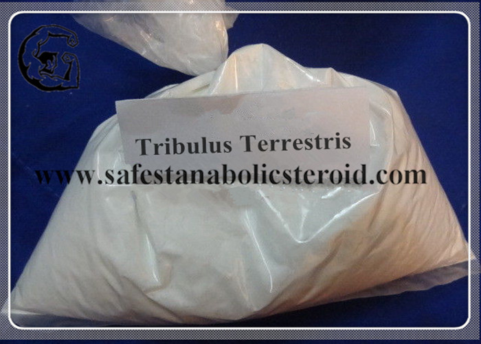 China Tribulus Terrestris Powdered Extract 55056-80-9 99% For Lower Blood Pressure on sale