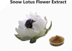 Cheap Bulk 8% Flavonoids  Snow Lotus Flower Extract Powder Used for Supplements wholesale
