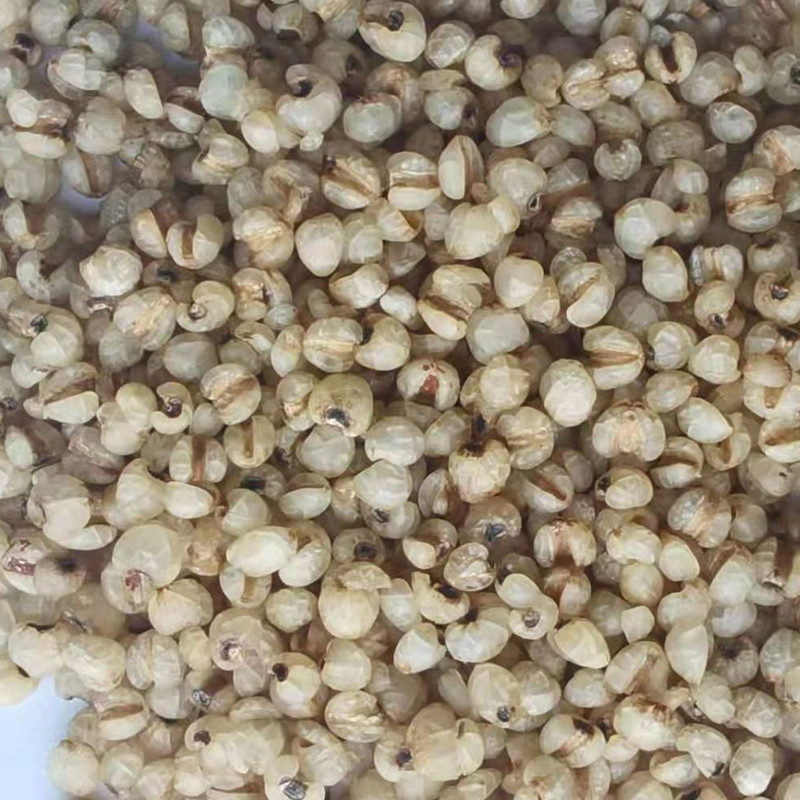 Cheap 100% Pure Natural Steamed Job'S Tear Roasted For Drink wholesale