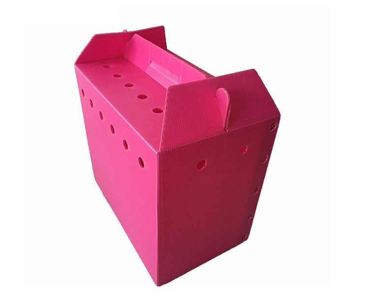 Cheap New Style polypropylene corrugated plastic danpla sheet carton box boxes pp hollow corflute packaging wholesale
