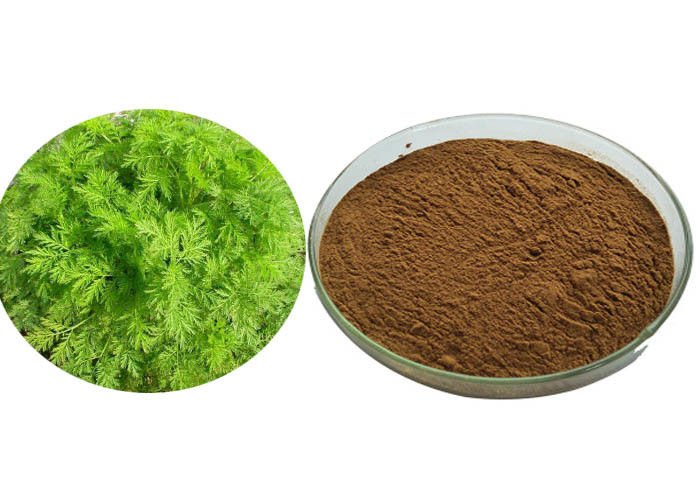Buy cheap Food Grade Wormwood Antimalarial Artemisia Annua Extract from wholesalers