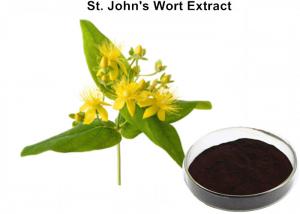 Cheap Herbal Extraction Plant , St John'S Wort Standardized Extract 0.3% Hypericin For Eliminating Stress wholesale
