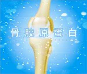 China Hydrolyzed Collagen Type II (Edible Level),Chicken Bone Collagen,chicken collagen type II on sale
