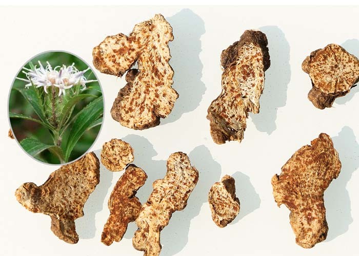 Cheap Large Headed Rhizoma Atractylodis , Highly Safe Chinese Herbs For Healing wholesale