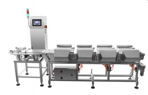Automatic Industrial Metal Detector , Multi Sorting Zones Checkweigher Conveyor