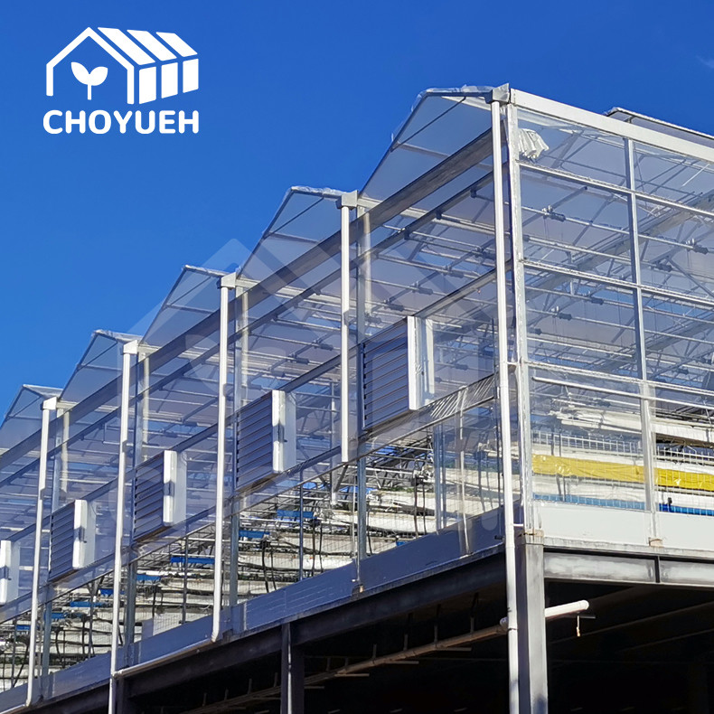 China Roof Ventilation Plant Commercial Glass Greenhouse With Inner Shading System on sale