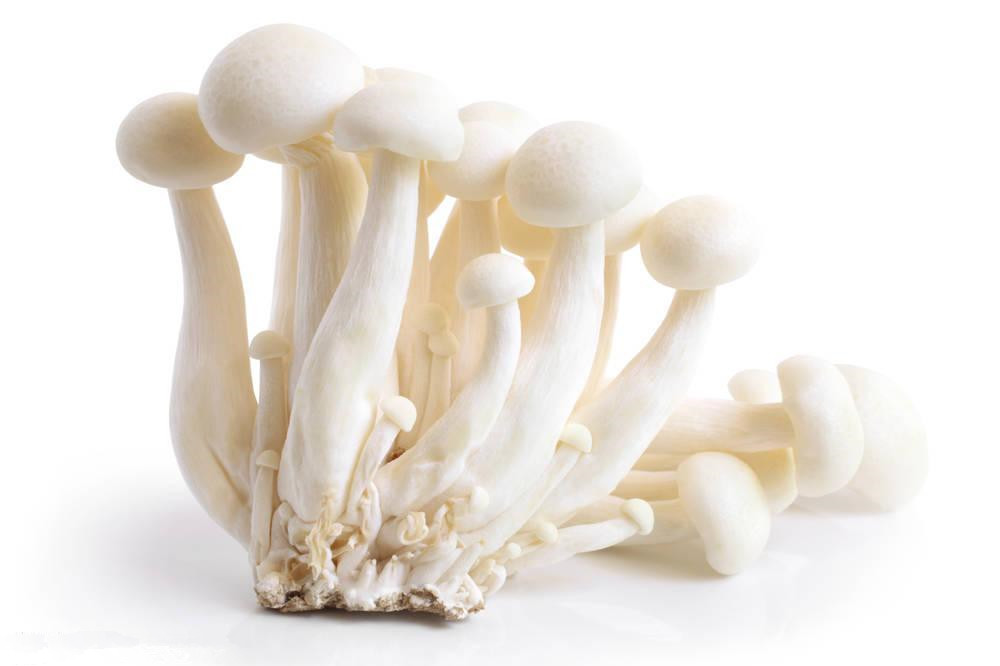 Cheap High Purity Mushroom Polysaccharides Enoki Mushroom Extract Powder Anti - Fatigue wholesale