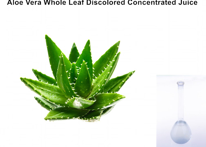 Cheap Off - White Ropy Liquid  Aloe Vera Extract Powder Whole Leaf Discolored Concentrated Juice wholesale