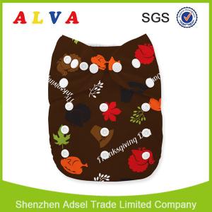 Alva Baby Thanksgiving Cloth Diapers with Inserts