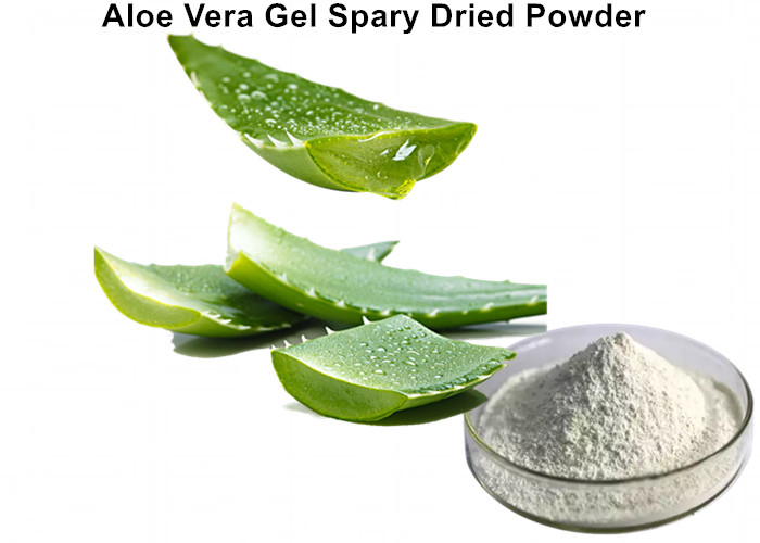 Cheap Water Soluble Aloe Vera Juice Powder Spray Dried, Pure Aloe Vera Powder Anti - Bacterial For Skin wholesale