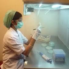 Cheap Preshipment Laboratory Testing Services  3rd Party With Detailed Report wholesale