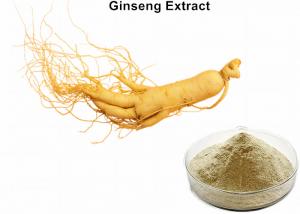 Cheap Ginseng Plant Extract Powder 80% Ginsenosides Increase Immune & Energy & Vitality wholesale