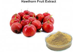 Cheap 5% Flavonoids Hawthorn Extract For High Blood Pressure , Hawthorn Berry Extract Powder wholesale