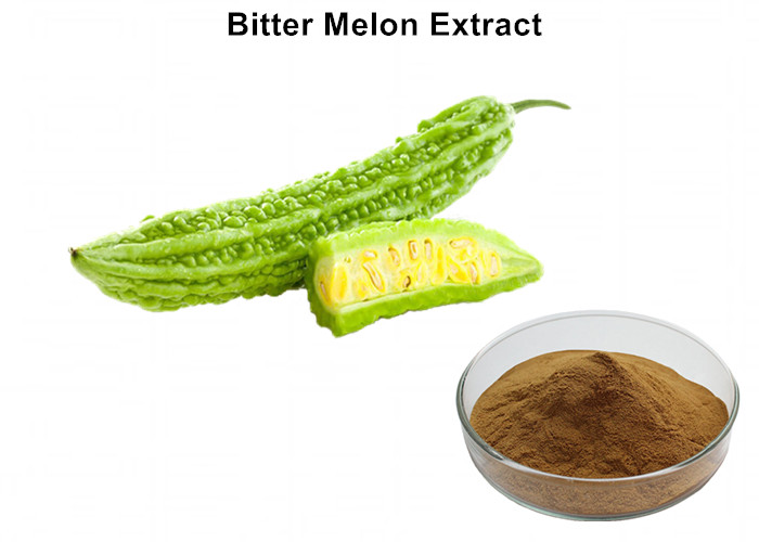 Cheap Bitter MelonPlant Extract Powder With 4% Charantin Reducing Blood Sugar No Side Effect wholesale