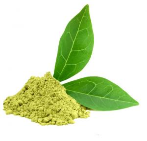 Cheap Food Grade Pure Green Tea Extract Powder EGCG Powder Antioxidant Protection wholesale