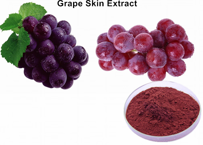 Cheap Grape Skin Extract Anthocyanin Extract Powder Skin Health Promoting Blood Circulation wholesale