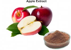 Cheap Natural Fruit Extract Powder 80% Polyphneols Apple Extract Antioxidant Powder wholesale
