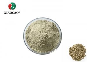 China High Purity Organic Hemp Protein Powder / Hemp Protein Extract TC Certificate on sale
