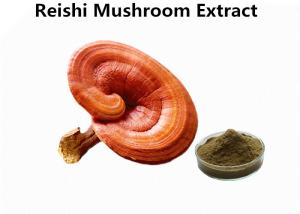 Cheap Red Reishi Mushroom Polysaccharides Extract Powder Supports Immune Health Function wholesale