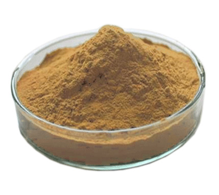 Cheap Low Ginkgolic Acid Ginkgo Biloba Leaf Extract Powder Effective Dilate Blood Vessels wholesale