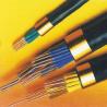 XlPE insulated Silicon Rubber Control Cable for sale