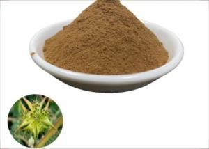 China Tribulus Terrestris 90% Saponins Herbal Extract Powder Lower Blood Pressure on sale