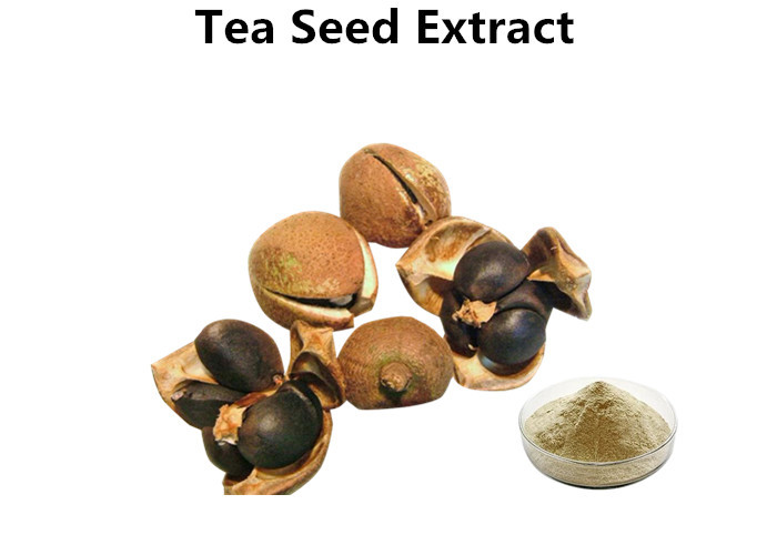 Cheap Tea Saponin Powder For Surfactant , Light Yellow Pure Natural Plant Extractspowder wholesale