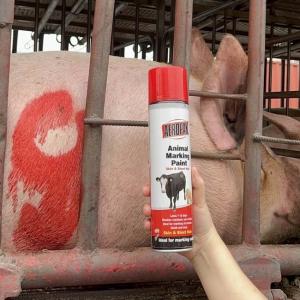 Cheap Aeropak Long Lasting Livestock Marking Paint Marker Paint For Cattle And Pigs wholesale