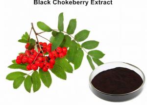 Cheap Black Chokeberry Extract Powder, Aronia Berry Extract Lowering Blood Sugar wholesale