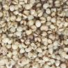Buy cheap Boiled Roasted Organic Job'S Tear For Drink from wholesalers