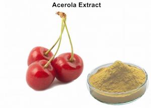 Cheap Acerola Cherry Extract Powder , Acerola Fruit Extract Scavenging Free Radicals Whitening wholesale