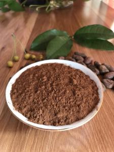 Cheap Fine Organic Alkalized Brown Cocoa Powder Negative Pathogenic Bacteria wholesale