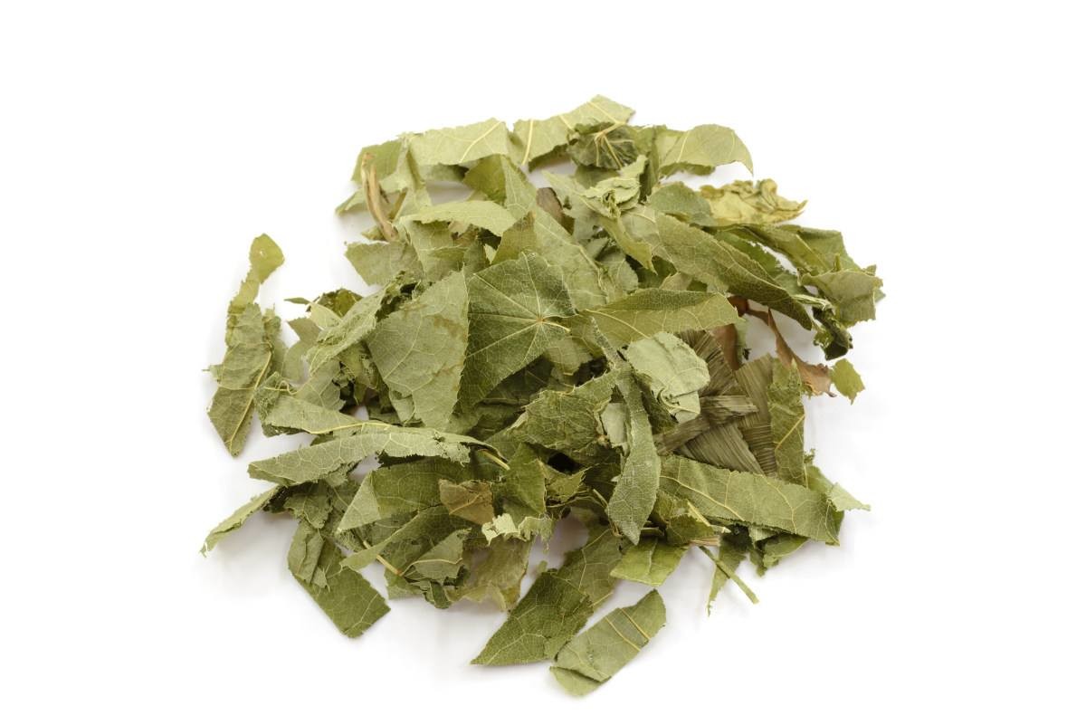 Cheap 20% Icariins Powder Epimedium Leaf Extract , Epimedium Herb Extract Enhance Sexual Function wholesale