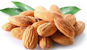 Cheap Natural Organic Plant Protein Powder Off White Almond Protein Almond Extract Powder wholesale