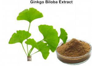 Cheap Food Grade Ginkgo Biloba Bulk Powder, Organic Ginkgo Biloba Extract Free Radical Scavenging wholesale