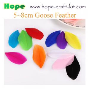 Cheap Various size of goose feathers, turkey feathers, chicken feathers, peacock , ostrich feathers for hobbies and kids DIY wholesale