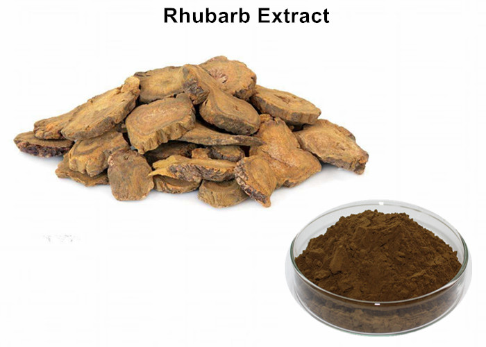Cheap Removing Stasis Rhubarb Root Extract , Detoxification Siberian Rhubarb Extract wholesale