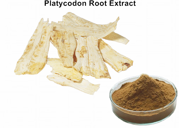 Cheap Platycodon Root Natural Plant Extracts 1% Saponins UV Expectorant And Relieving Cough wholesale