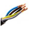 2 Core Silicone Rubber Insulated Cable 600V Tinned Copper for sale