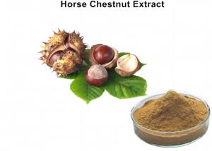 Cheap High Standard horse chestnut powder , Horse Chestnut Extract for varicose veins wholesale
