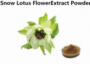Cheap Bulk 8% Flavonoids Snow Lotus Flower Extract Powder Used for Supplements wholesale