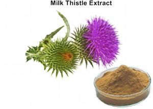 Cheap Light - Yellow Milk Thistle Plant Extract Powder Silymarin For Liver Protection wholesale