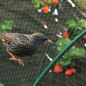 China HDPE Transparent Agricultural Anti bird net, anti bird netting on sale