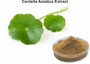 Cheap Centella Asiatica Leaf Extract Asiaticoside Promoting Healing , Entella Asiatica Extract Skin Care wholesale